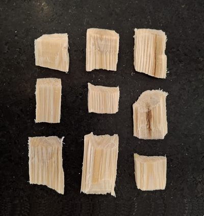 Yellow birch wood chips, the raw biomass input
