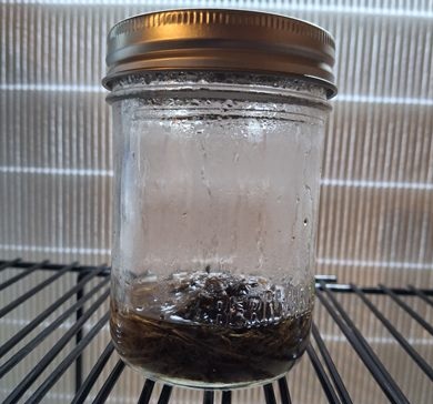 Enzymatic hydrolysis reaction in a sealed jar